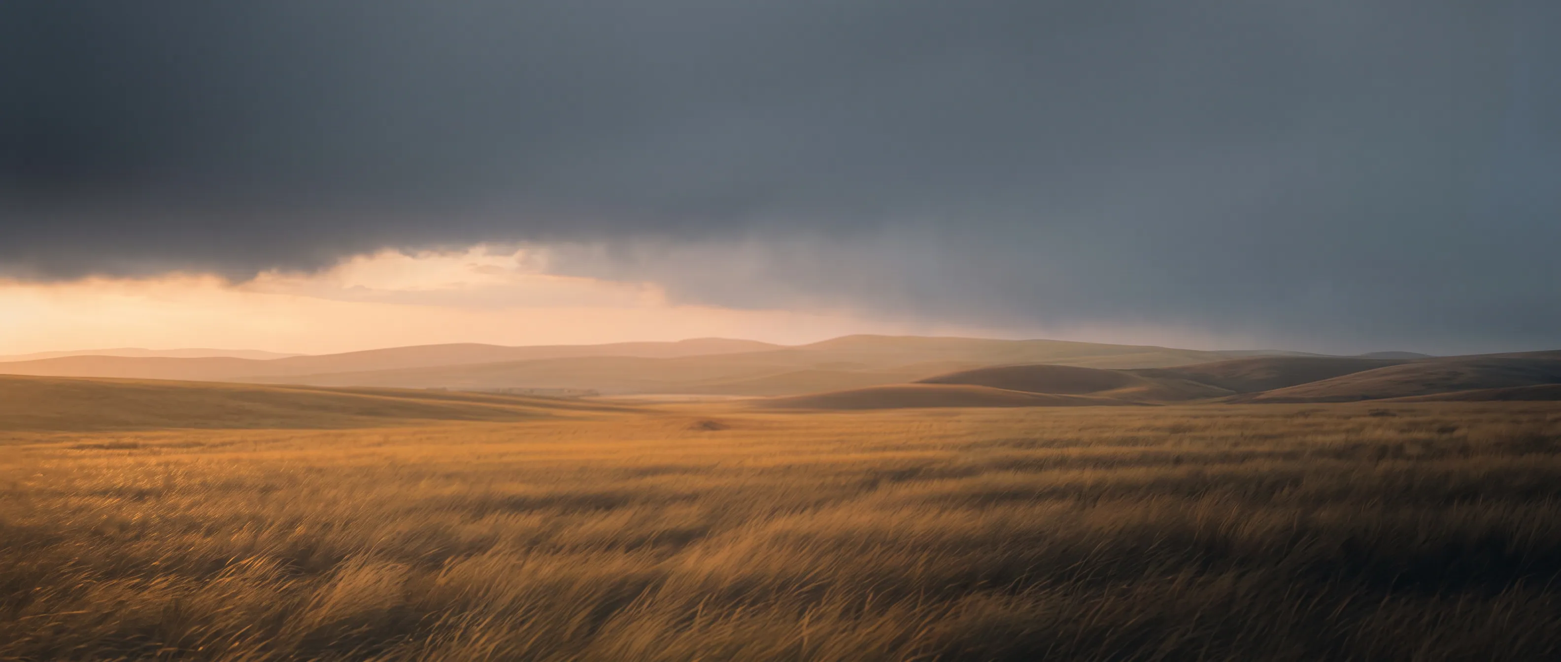 A heavy slate storm deck over treeless steppe at dusk, a break of apricot light at the horizon, wind-combed golden grass crushing to black in the foreground.
