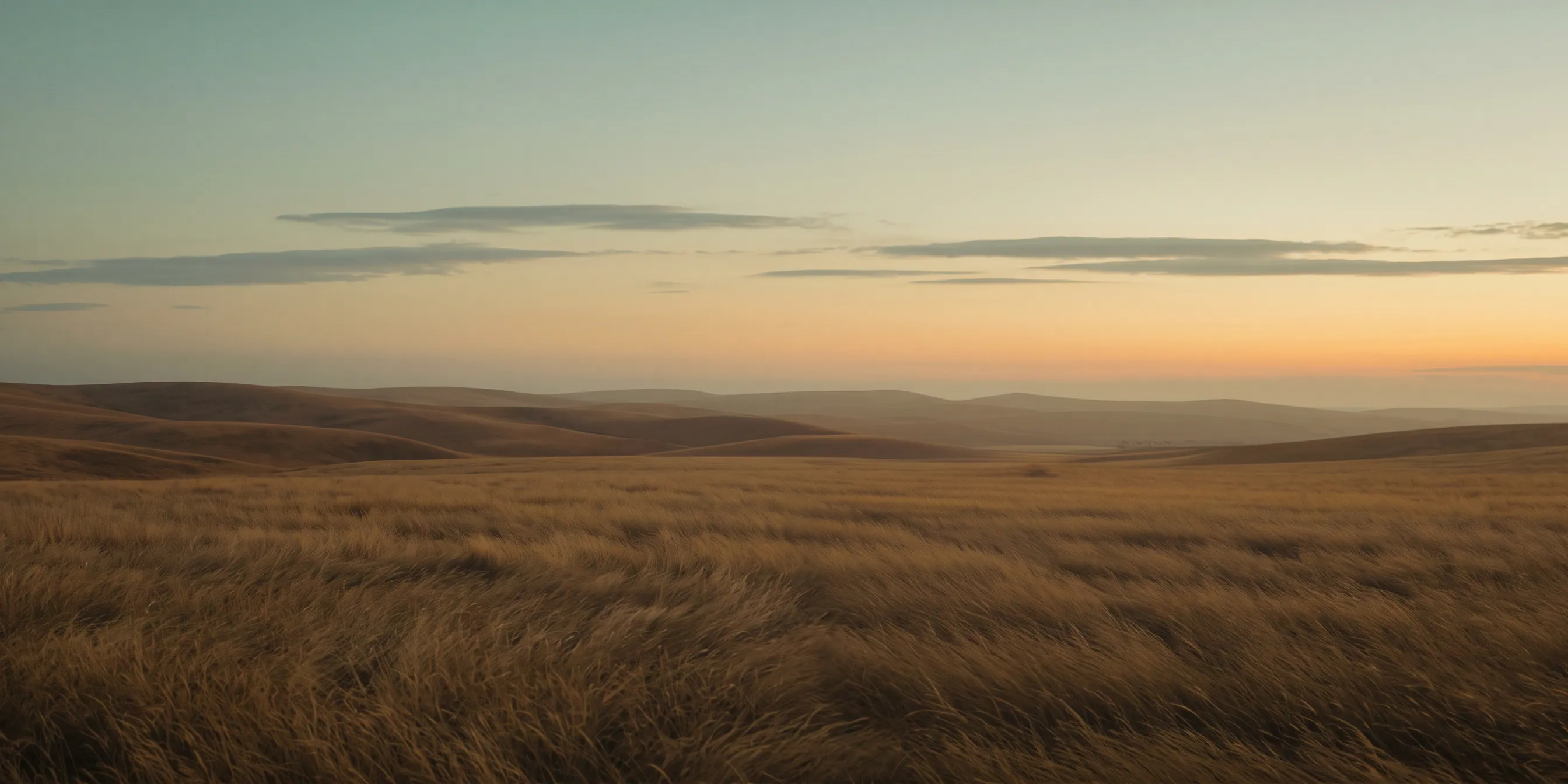 Golden grass in warm evening haze, low hills on the horizon.