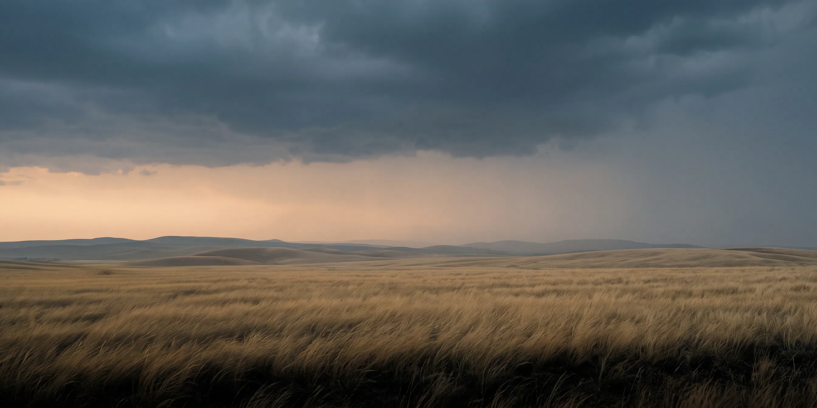 Evening light over rolling steppe grass under a low storm deck.